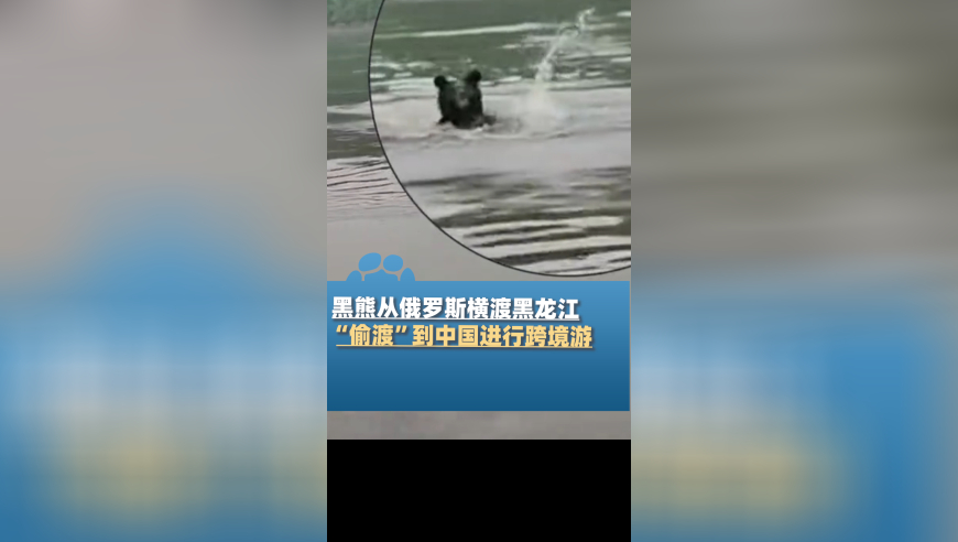 顾客称台球厅卫生间装摄像头,123手机开奖,重点解答解释落实_铂金版V4.36
