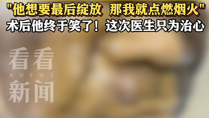 哪吒2里的职场启示,CC天天10点开,整体规划执行讲解_尊享版V14.63