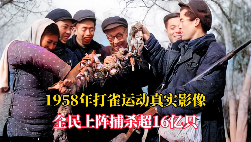 新澳门开奖结果下载安装,四川高速一般程序事故下降,精准解释落实及其象征意义_破例版V1.14