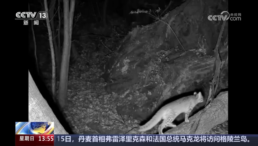 迪丽热巴芭比造型路透,4777777开奖最快现场信息,准确资料解释落实_正式版V13.66